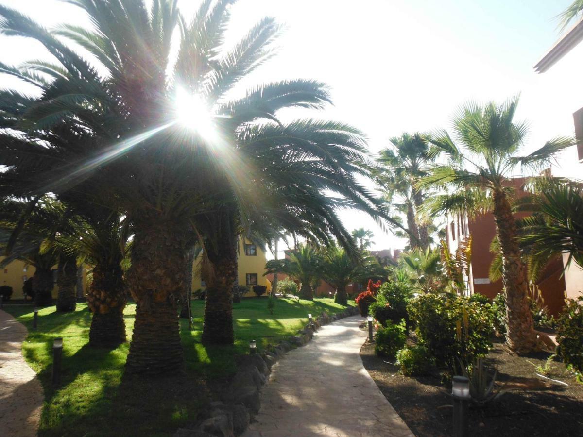 Oasis Vistamar Apartment Corralejo Exterior photo
